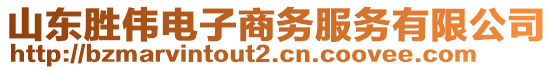 山東勝偉電子商務(wù)服務(wù)有限公司