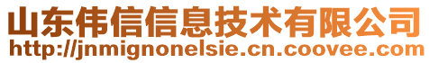 山東偉信信息技術有限公司