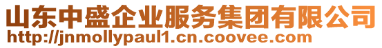 山東中盛企業(yè)服務(wù)集團(tuán)有限公司