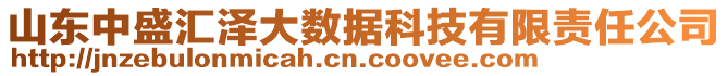 山東中盛匯澤大數(shù)據(jù)科技有限責任公司