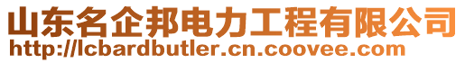 山東名企邦電力工程有限公司