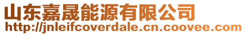 山東嘉晟能源有限公司