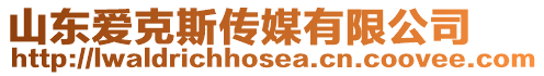 山東愛克斯傳媒有限公司