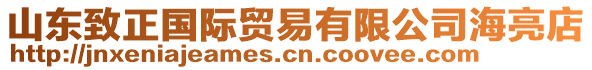 山東致正國際貿(mào)易有限公司海亮店