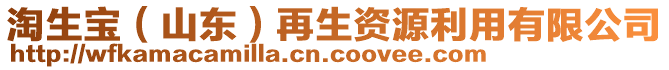 淘生寶（山東）再生資源利用有限公司