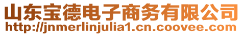 山東寶德電子商務有限公司