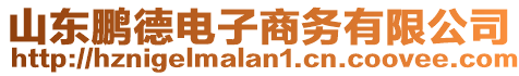 山東鵬德電子商務有限公司