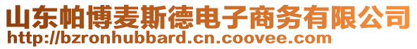 山東帕博麥斯德電子商務(wù)有限公司