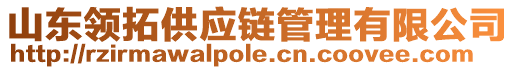 山東領(lǐng)拓供應(yīng)鏈管理有限公司