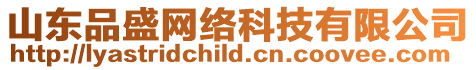 山東品盛網絡科技有限公司