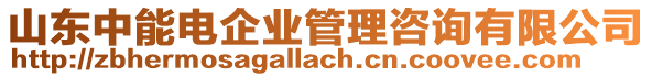 山東中能電企業(yè)管理咨詢有限公司