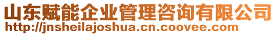 山東賦能企業(yè)管理咨詢有限公司