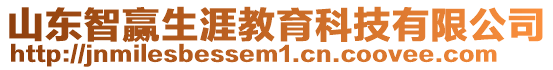 山東智贏生涯教育科技有限公司