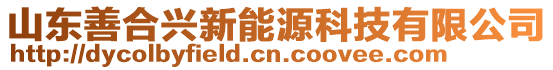 山東善合興新能源科技有限公司