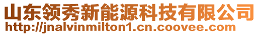 山東領秀新能源科技有限公司