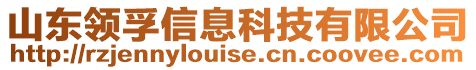 山東領(lǐng)孚信息科技有限公司