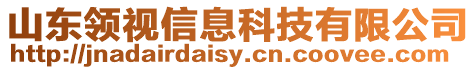 山東領視信息科技有限公司