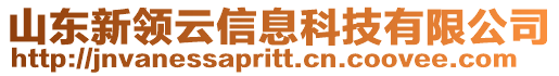山東新領云信息科技有限公司