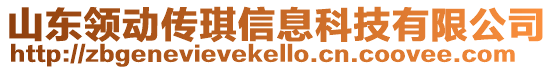 山東領(lǐng)動(dòng)傳琪信息科技有限公司