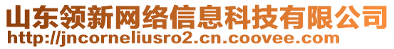 山東領(lǐng)新網(wǎng)絡(luò)信息科技有限公司