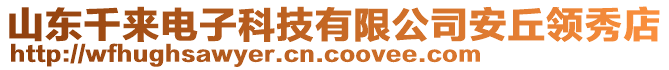 山東千來電子科技有限公司安丘領(lǐng)秀店