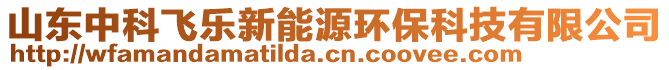 山東中科飛樂新能源環保科技有限公司