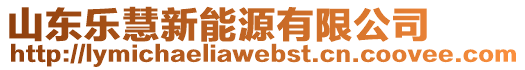 山東樂慧新能源有限公司