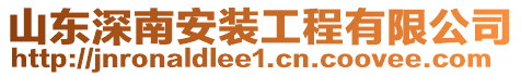 山東深南安裝工程有限公司