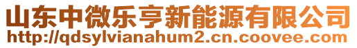 山東中微樂亨新能源有限公司