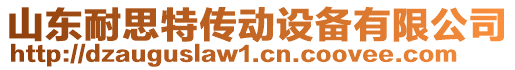 山東耐思特傳動設(shè)備有限公司