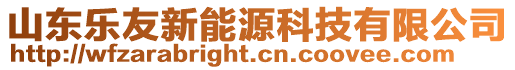 山東樂友新能源科技有限公司