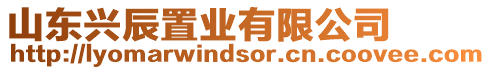 山東興辰置業有限公司