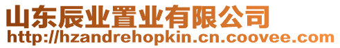 山東辰業置業有限公司