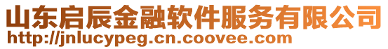 山東啟辰金融軟件服務(wù)有限公司