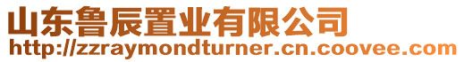 山東魯辰置業(yè)有限公司