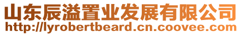 山東辰溢置業(yè)發(fā)展有限公司