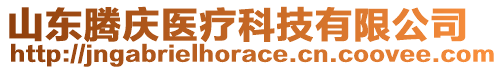 山東騰慶醫(yī)療科技有限公司