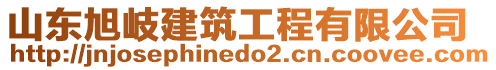 山東旭岐建筑工程有限公司