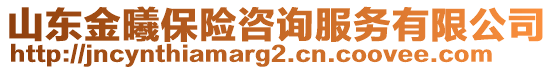 山東金曦保險咨詢服務有限公司