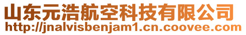 山東元浩航空科技有限公司