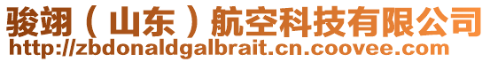 駿翊(山東)航空科技有限公司