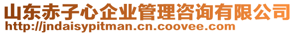 山東赤子心企業(yè)管理咨詢有限公司