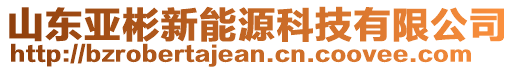 山東亞彬新能源科技有限公司