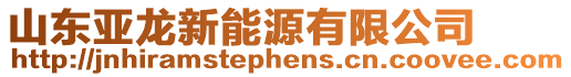 山東亞龍新能源有限公司