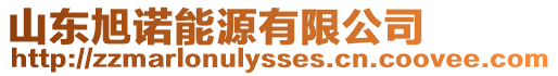 山東旭諾能源有限公司