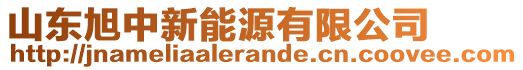 山東旭中新能源有限公司