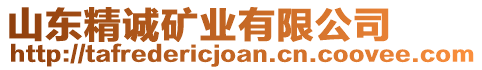 山東精誠礦業(yè)有限公司