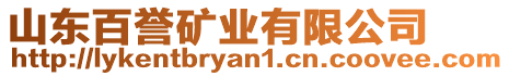 山東百譽礦業(yè)有限公司