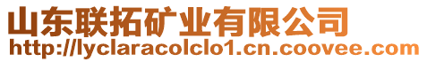 山東聯拓礦業有限公司