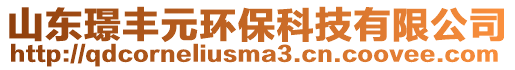 山東璟豐元環(huán)保科技有限公司